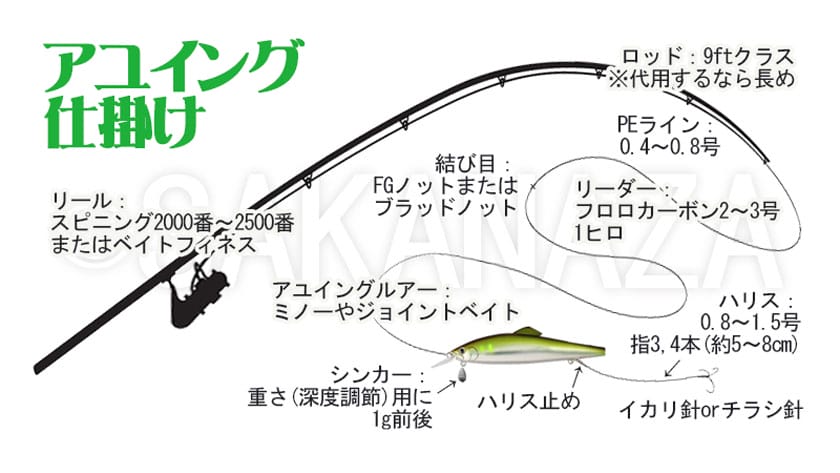 アユイング,仕掛け