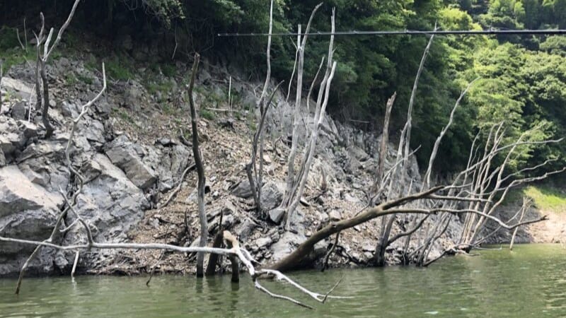 ストラクチャー,弱点|減水しきった水量の少ない湖,釣り方
