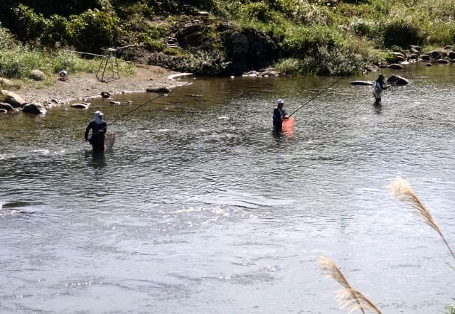 ルアー釣り禁止河川｜アユイング,タックル,ルアー