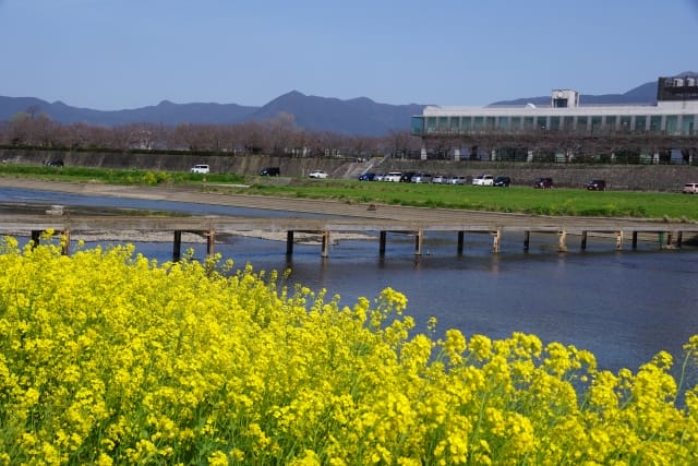 春3月、4月|渓流釣り,時期,春,夏,秋