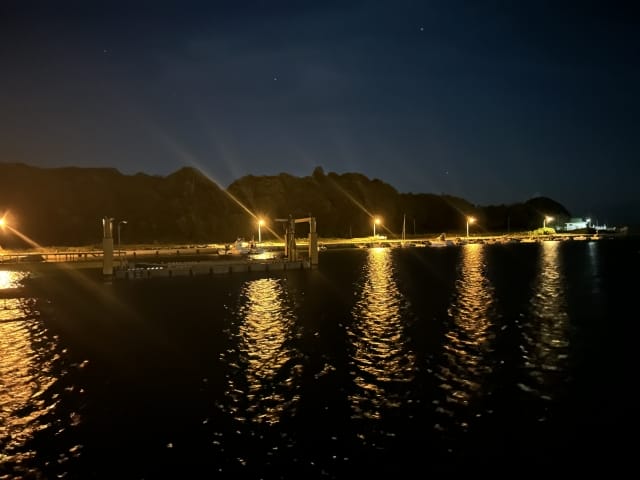 釣れるポイント|イカパターン,攻略,釣り方,ルアー,タックル