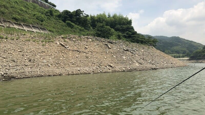 シェードがない,弱点|減水しきった水量の少ない湖,釣り方