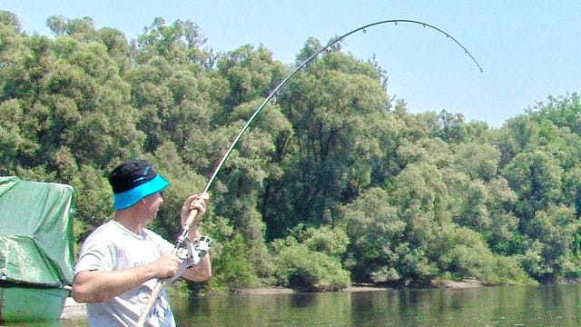 基本ファイト｜アワセ,ランディング,やり方