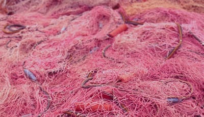 カッチ色｜シーバスpeパワーゲーム デイタイム ,インプレ