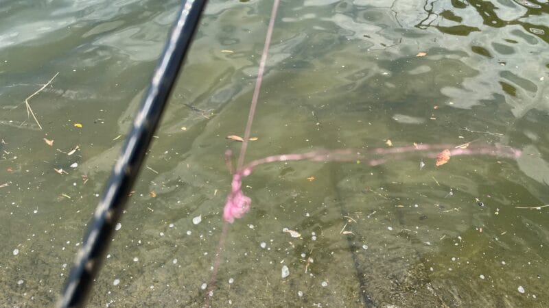 デメリット｜シーバスpeパワーゲーム デイタイム ,インプレ