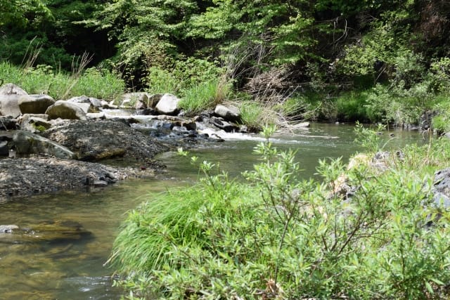 初夏6月,7月,梅雨明け|渓流釣り,時期,春,夏,秋