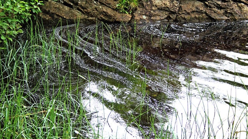 水質が悪い,弱点|減水しきった水量の少ない湖,釣り方