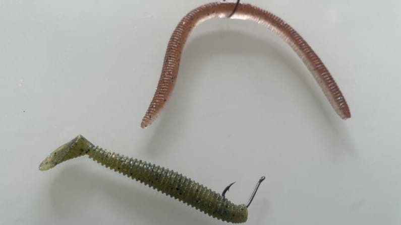 ノーシンカー,ドリフトで効果の高いリグ|バス釣り.ドリフト.釣り方.川スモール